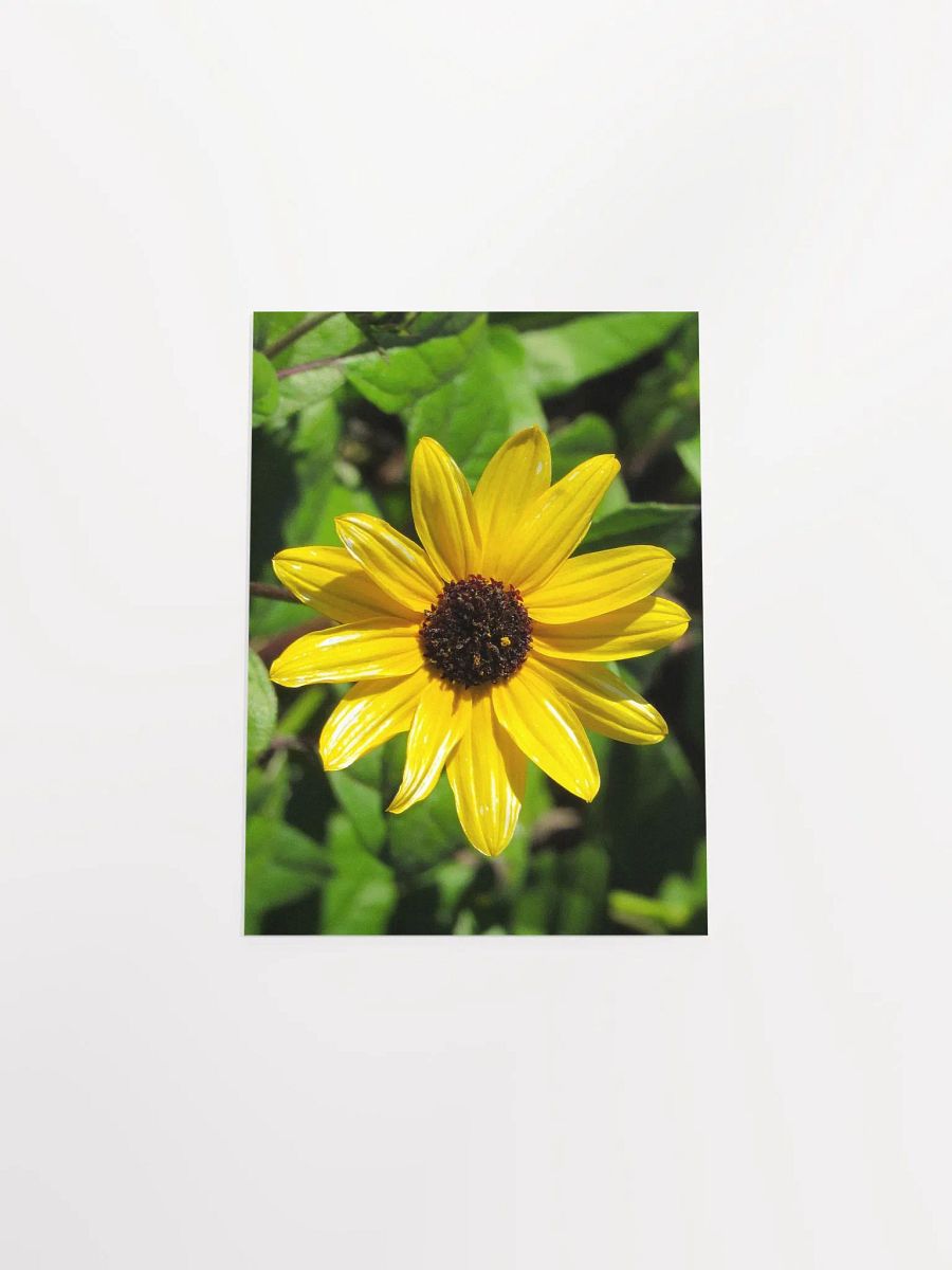 Mini Sunflower product image (49)