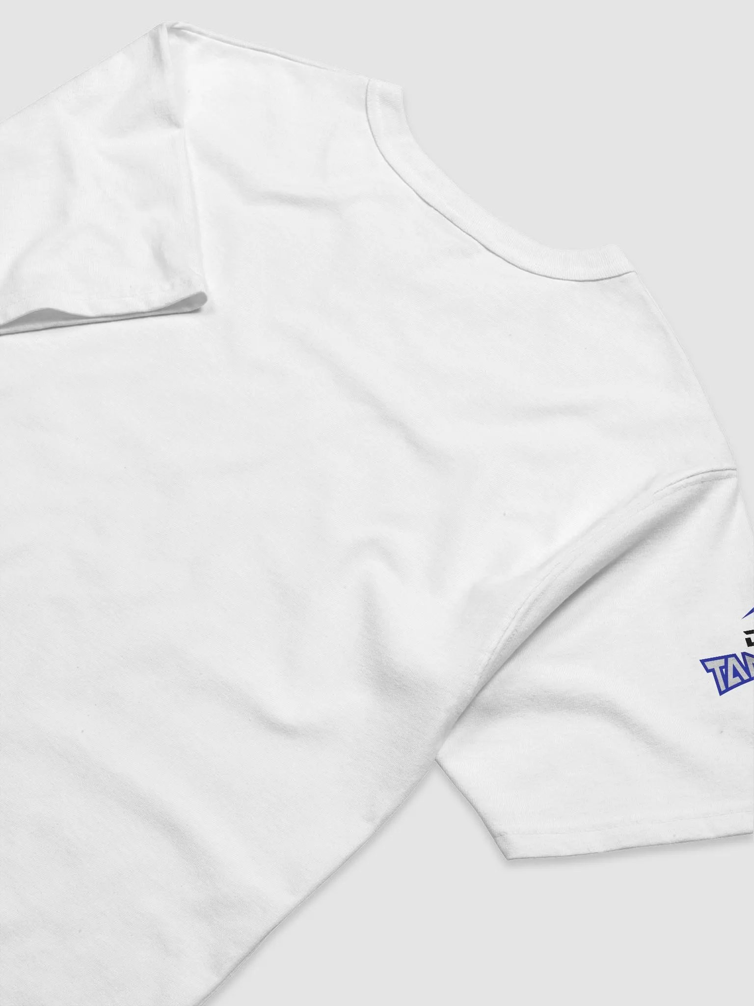 Lion's Den Champion T-Shirt (Men's Relaxed Fit) product image (8)