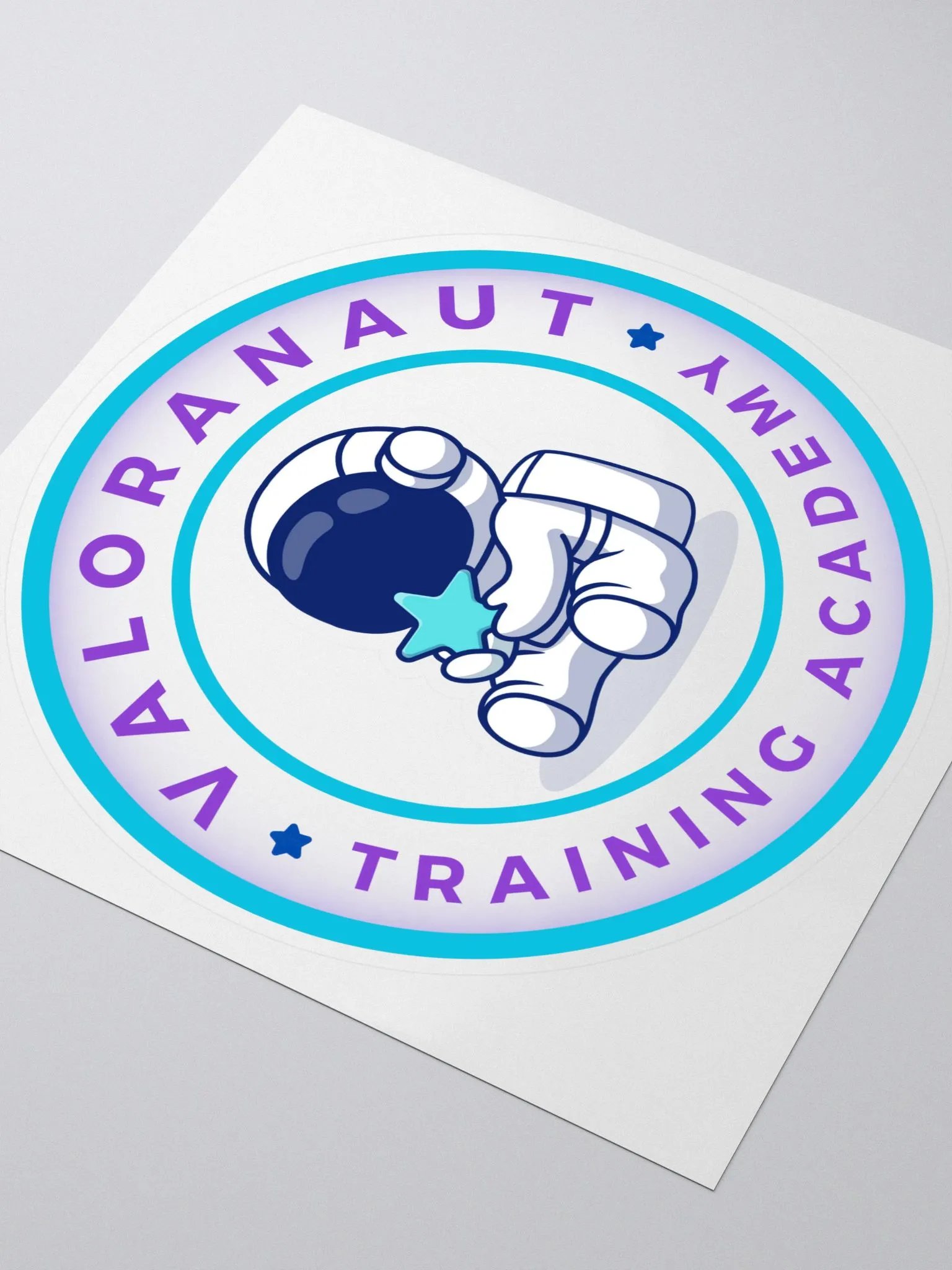 VTA 2.0 Vinyl Sticker product image (3)