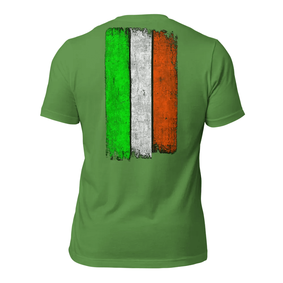 Saint Patrick: A Real Irish Hero product image (10)