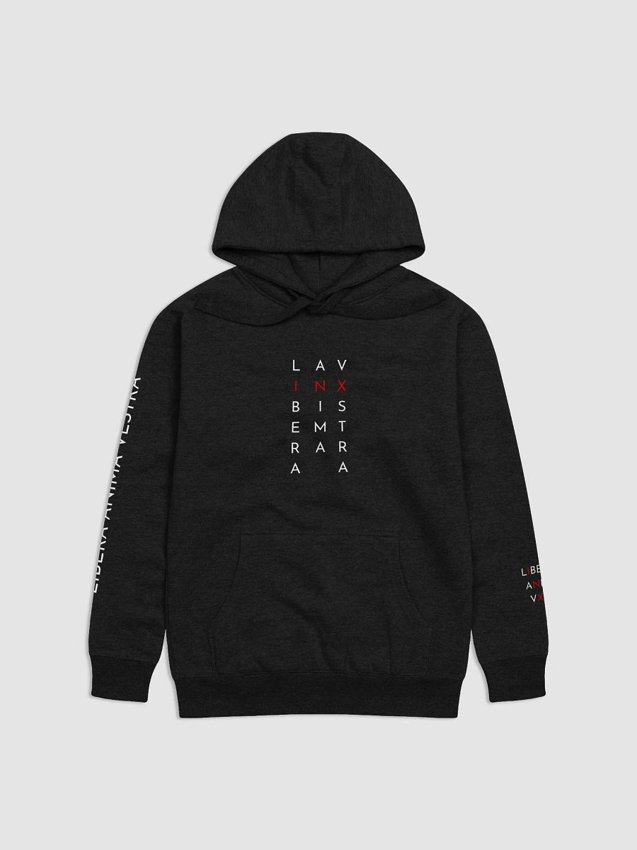 InX Hoodie product image (1)