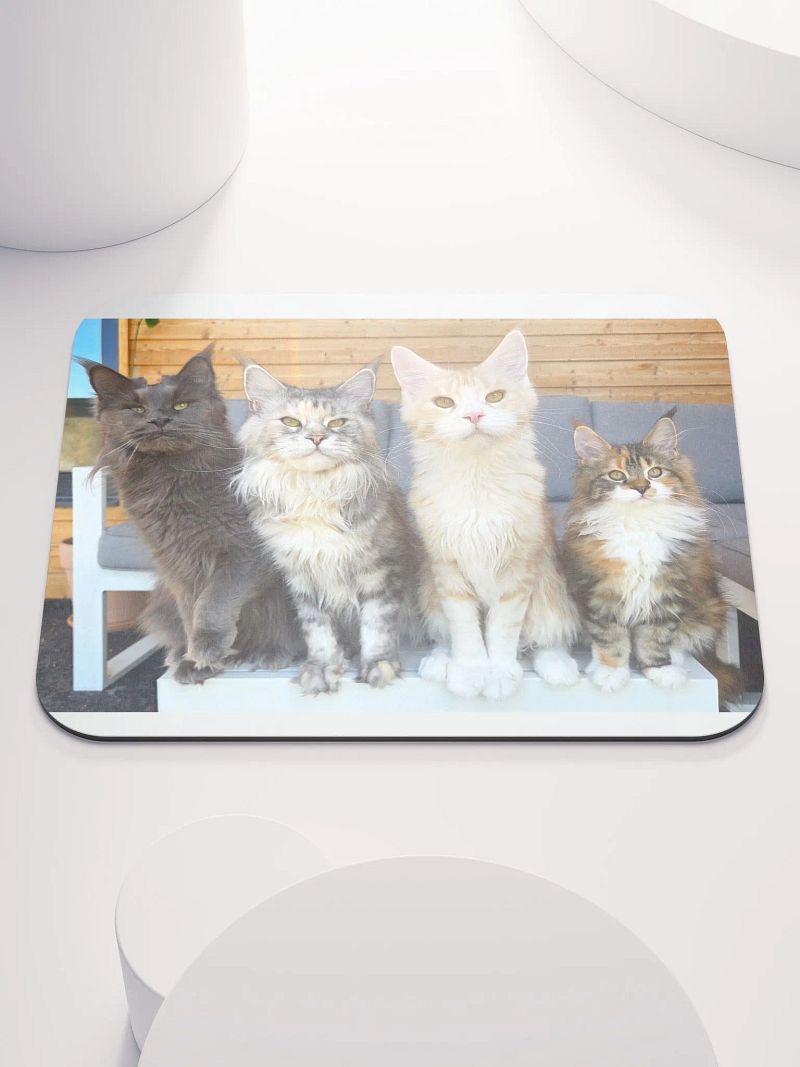 4 Generations - Mouse Pad