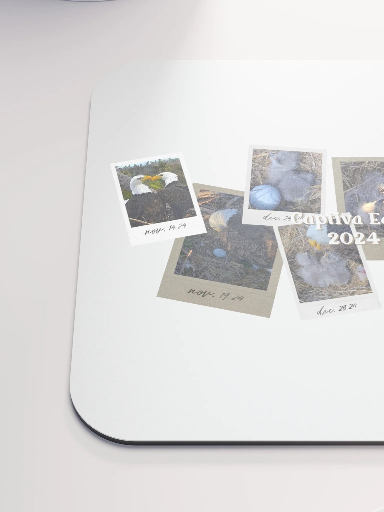 Journey | Mouse Pad | Captiva Eagle Cam 2024-2025 product image (5)