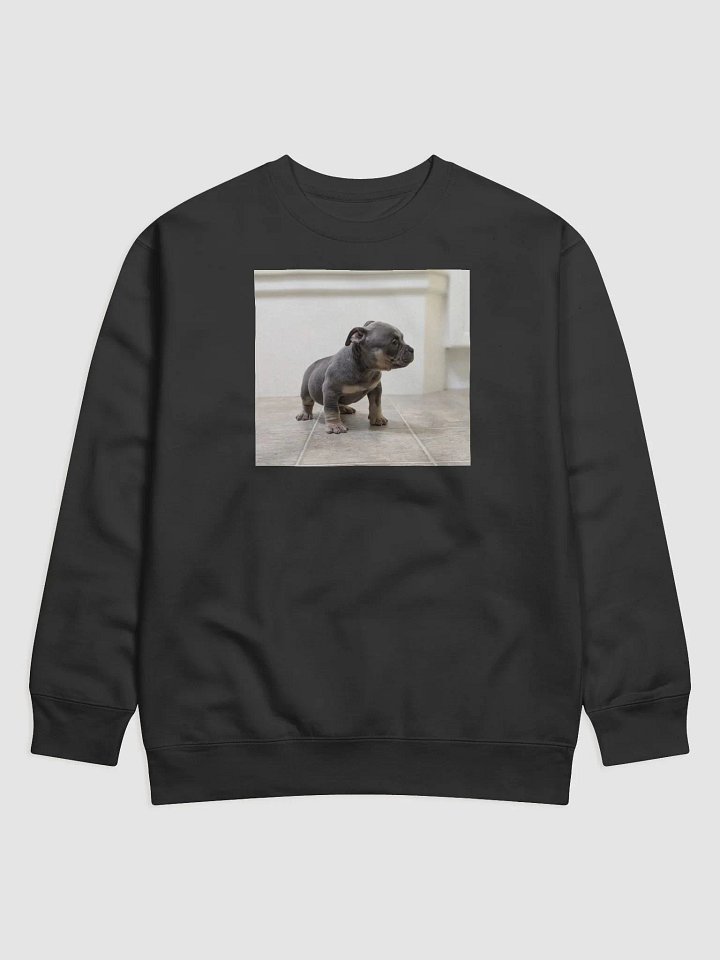 sweat Rumble product image (1)