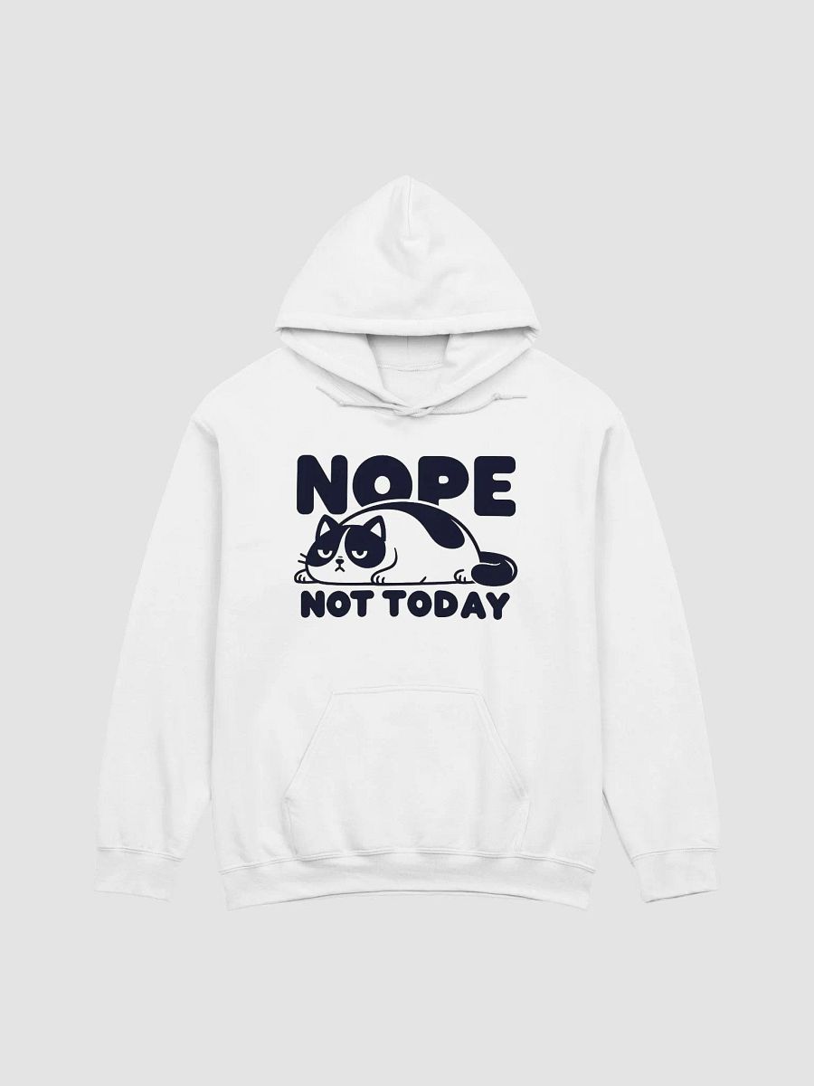 Nope Not Today product image (65)