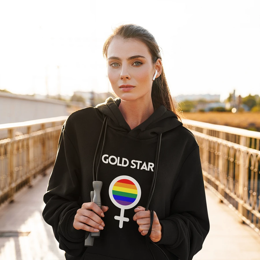 LGBTQ+ Gold Star Hoodie (dark) product image (18)