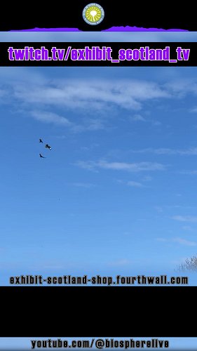 info...

Sign up to a membership subscription, get access to Exhibit Scotland products and merchandise https://exhibit-scotla...