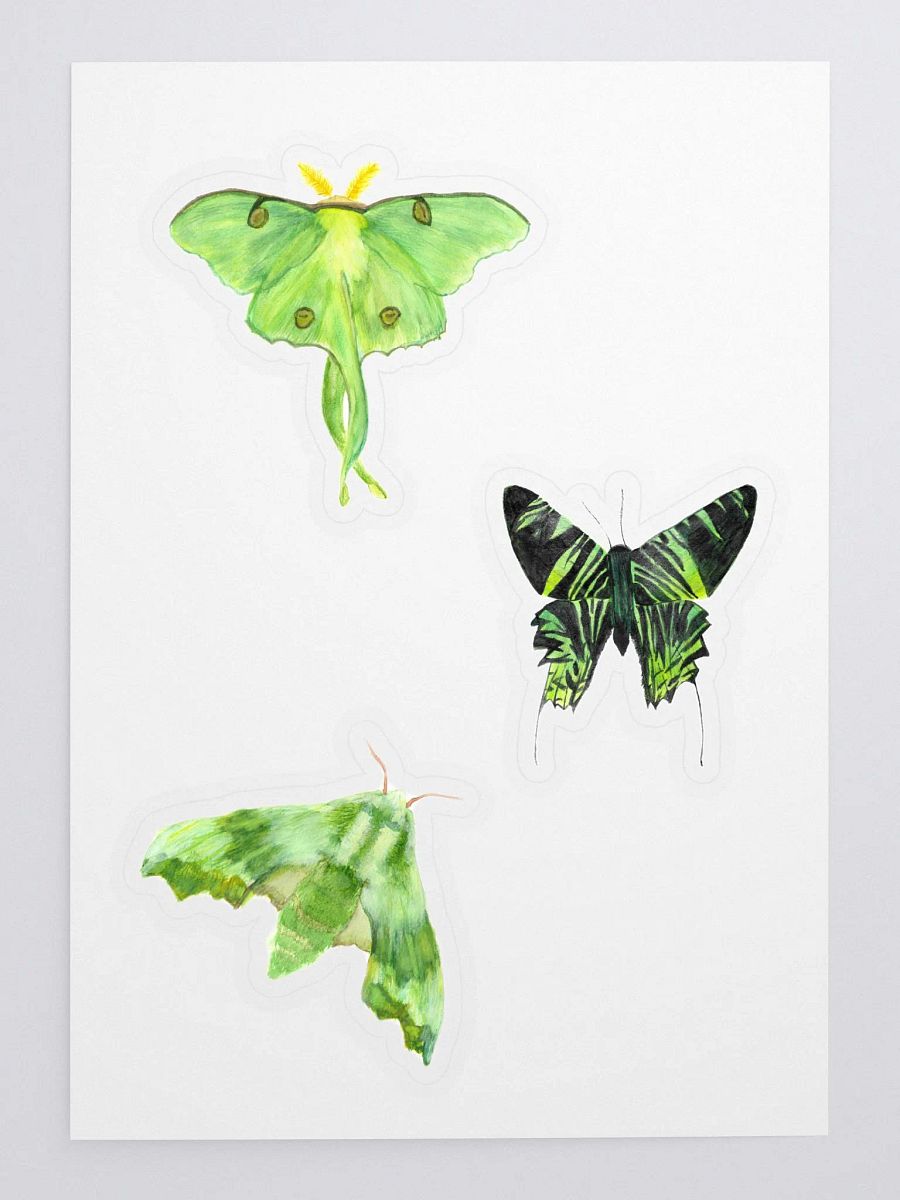 Green Moth Sticker Pack product image (3)