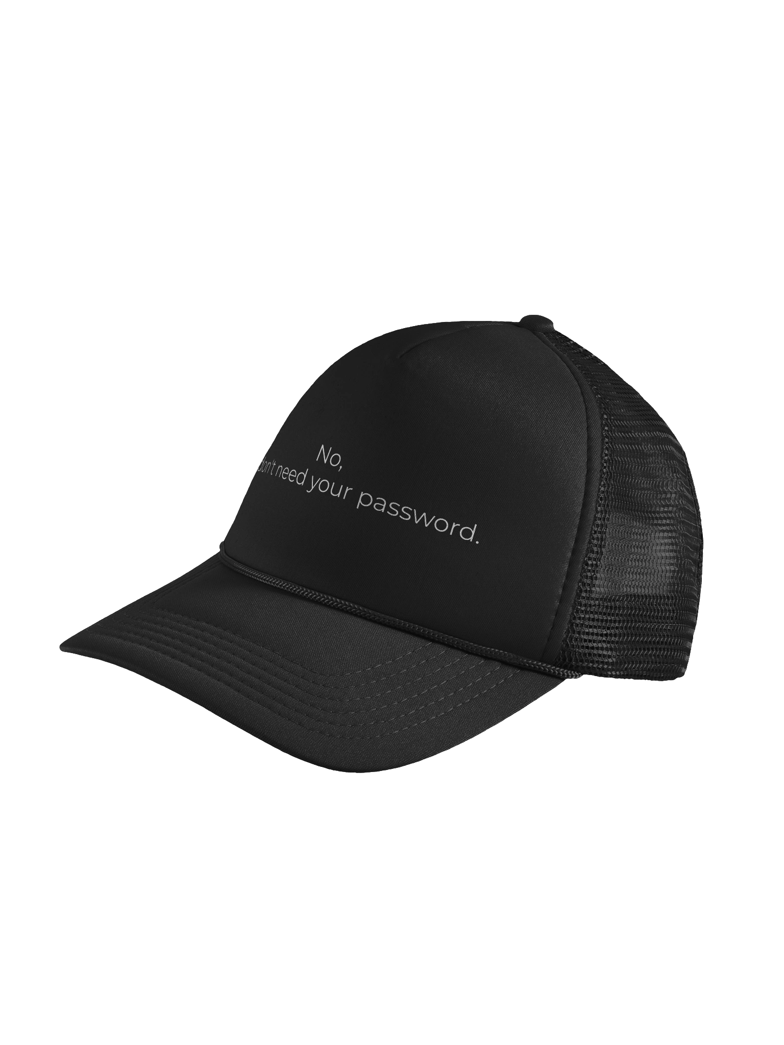 No, I don't need your password trucker hat. product image (14)