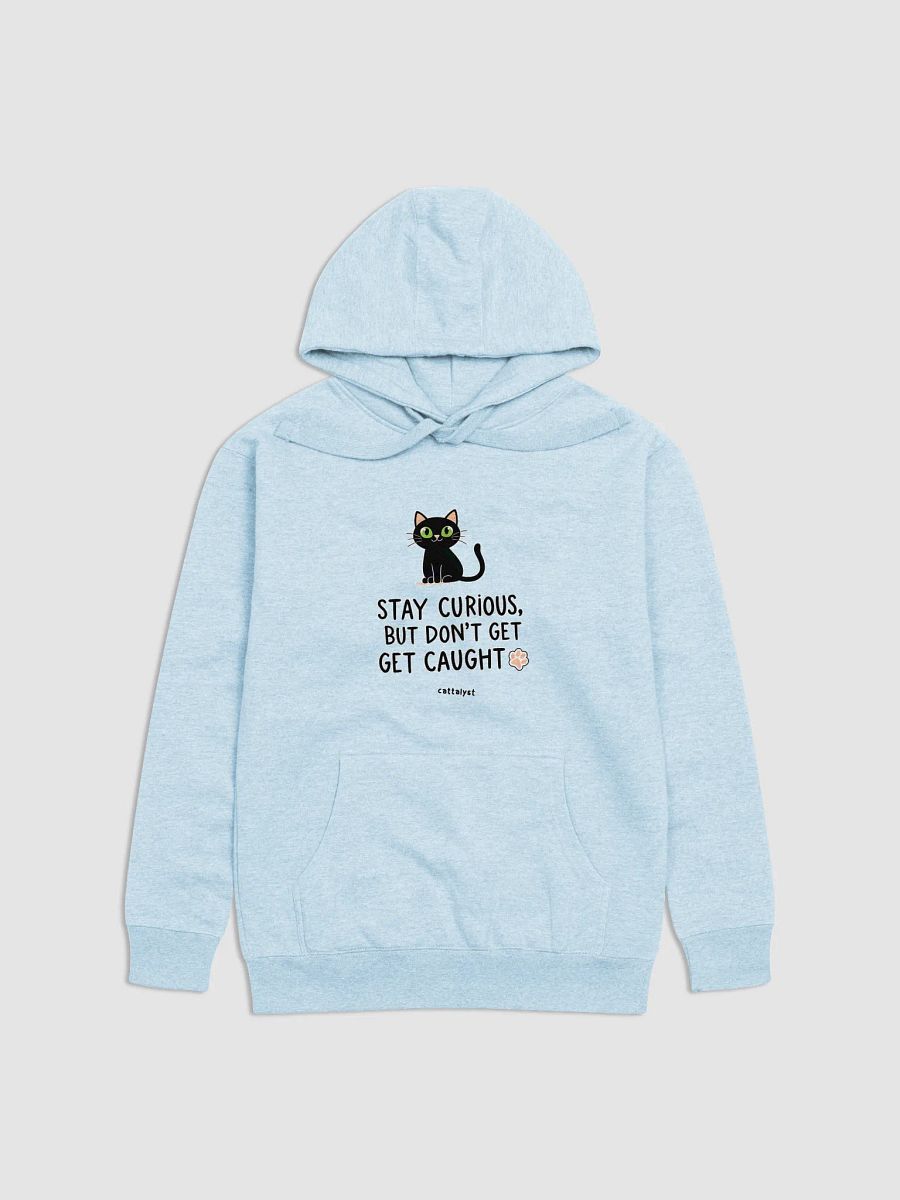 Curious Cat Premium Hoodie product image (2)