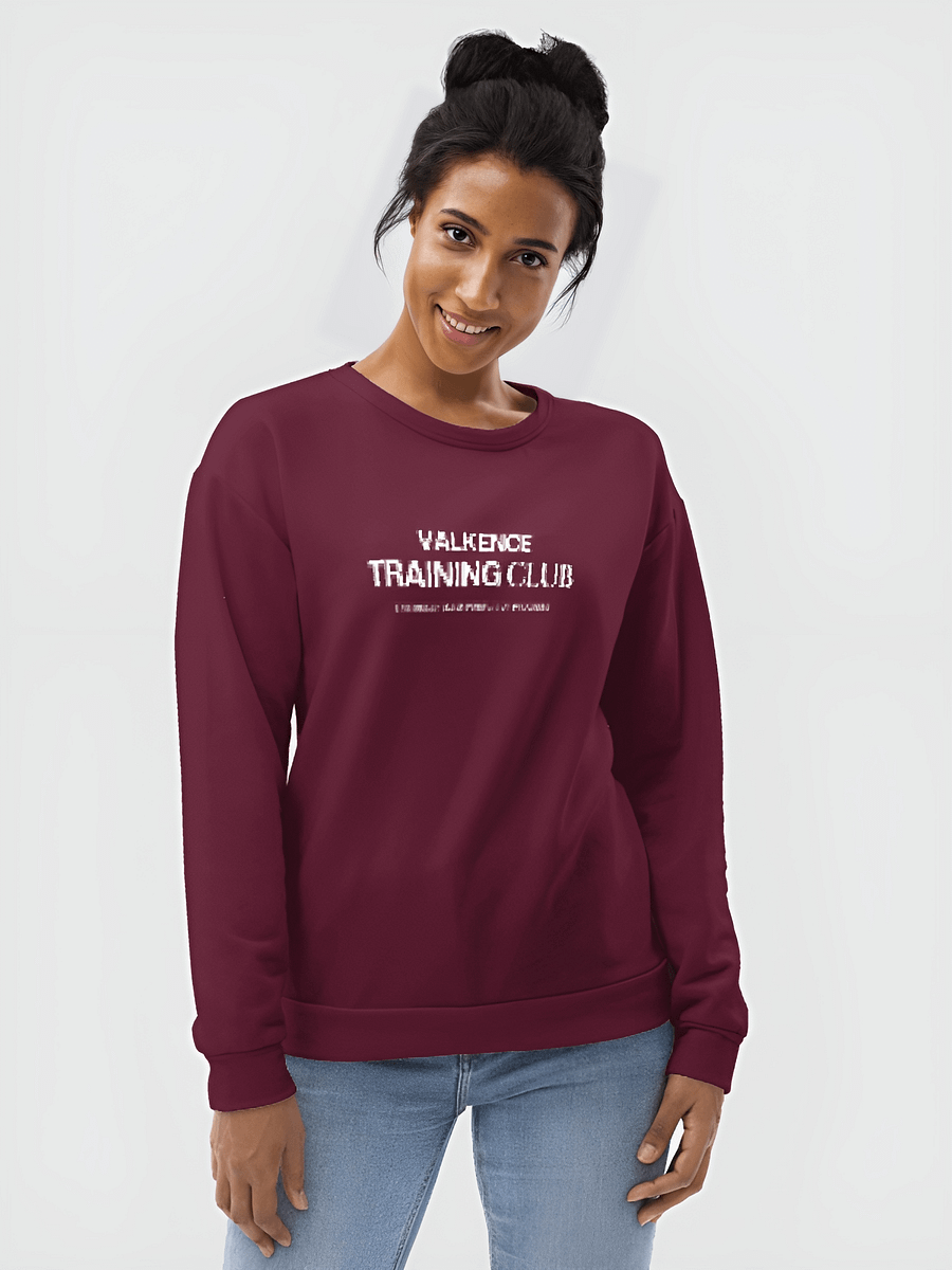 Training Club Sweatshirt - Plum product image (3)