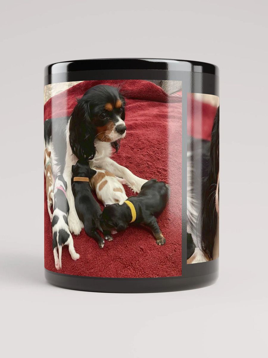 Myra and her 2024 Puppies product image (10)