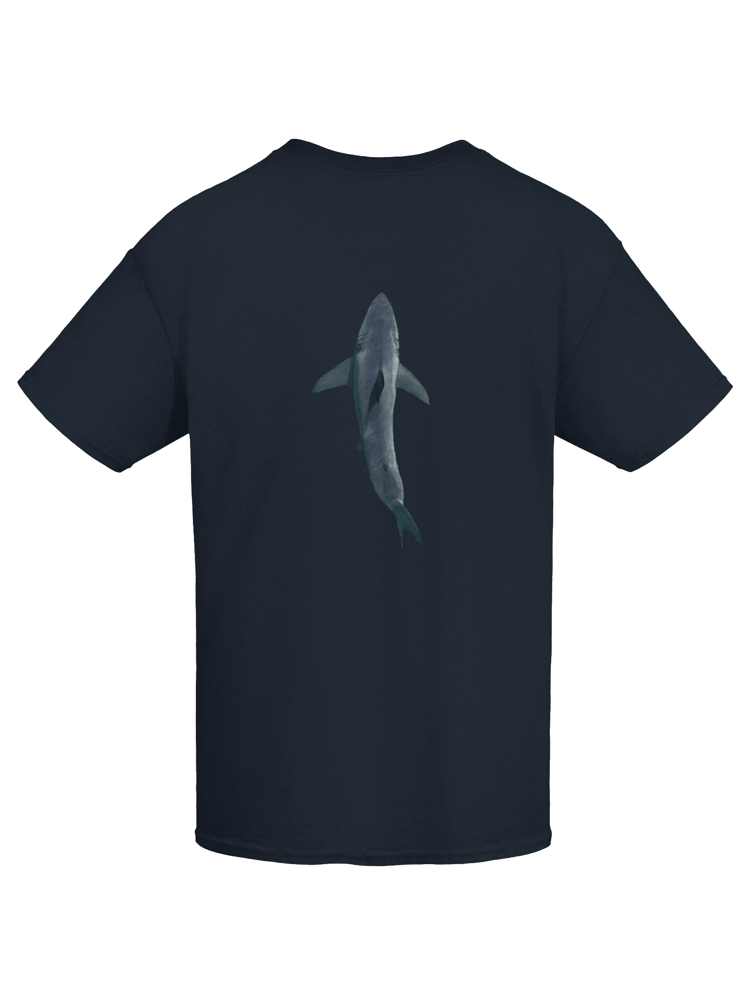 Carcharodon carcharias product image (9)