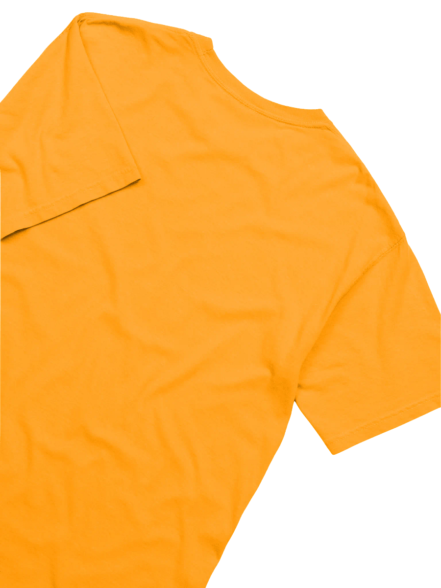 Adwa: The Unconquered Spirit '18' Tee product image (4)