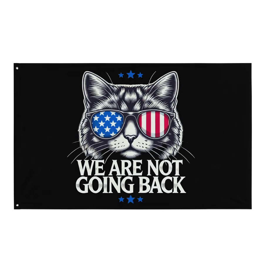 US Election Day 2024 We Are Not Going Back Cat America Flag product image (9)