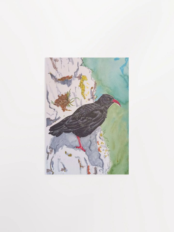 Corvid Series [04] Chough poster print product image (1)