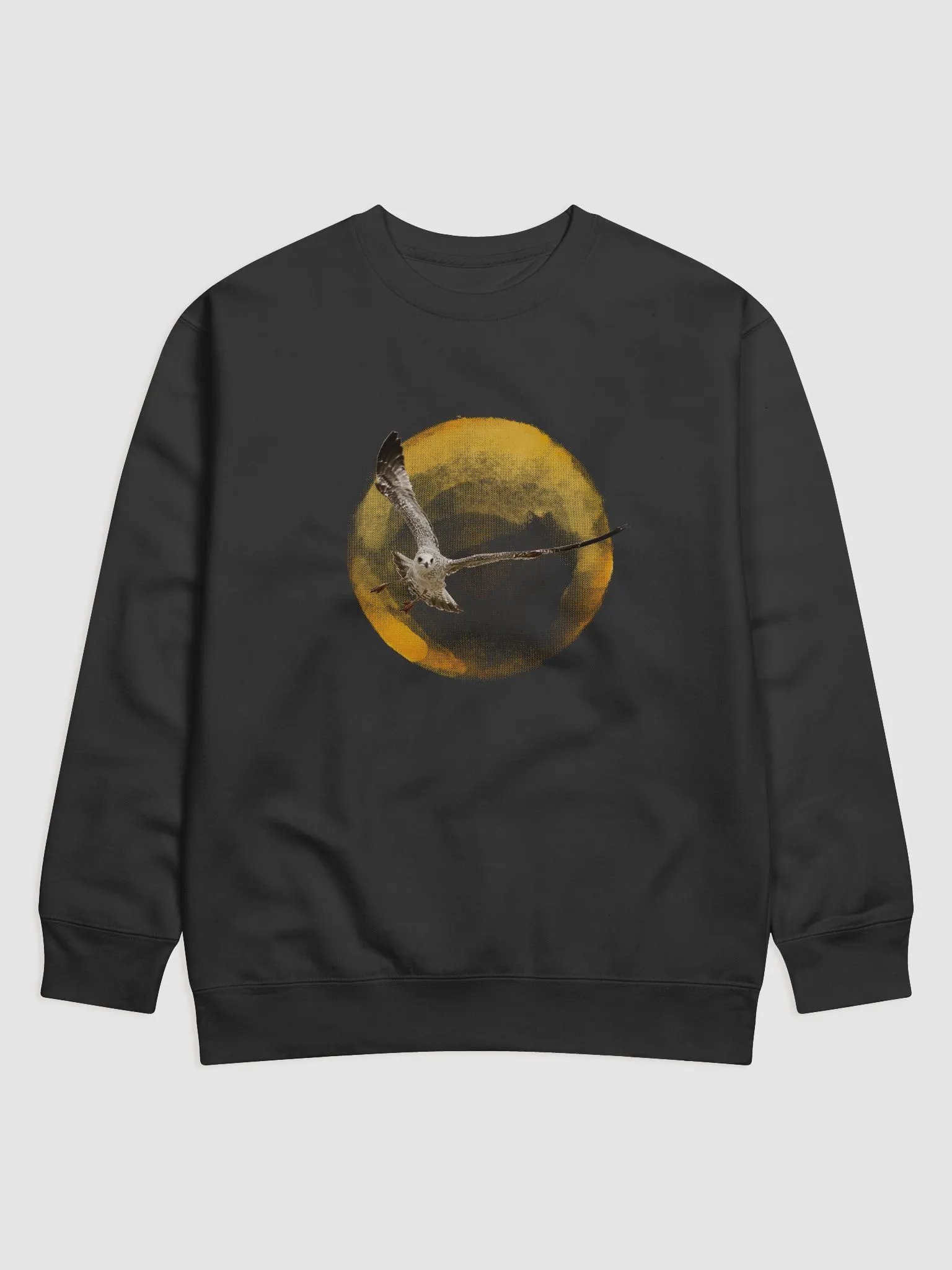 Young Sun Gull Sweatshirt product image (1)