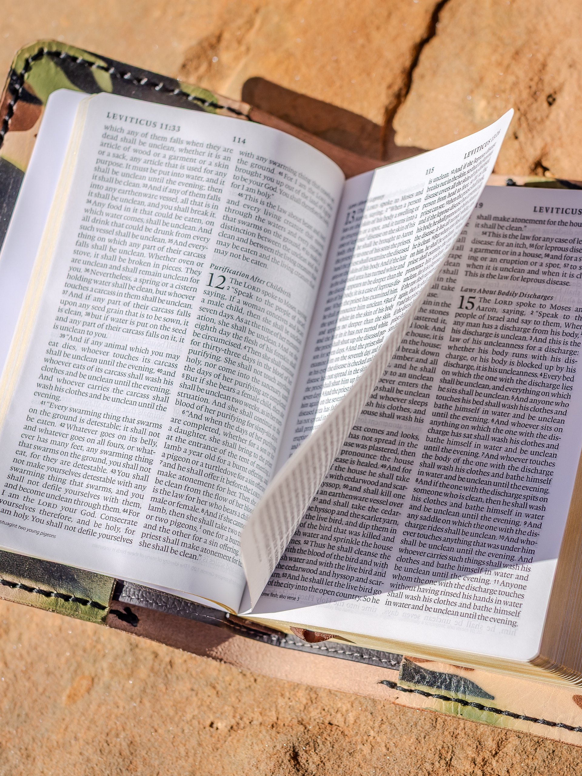 Camo Warrior Bible product image (3)