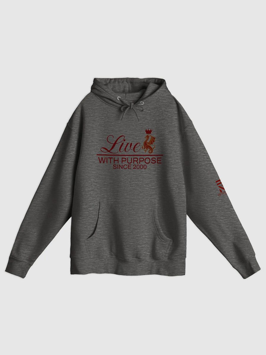 LIVE WITH PURPOSE HOODIE product image (2)