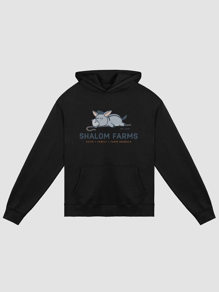 AS Color Premium Oversize Hoodie Full Logo product image (1)
