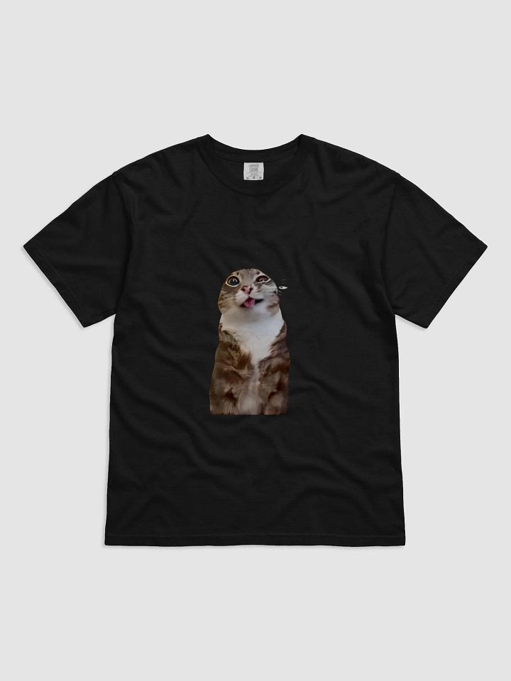 Rigby Cat T-Shirt product image (1)