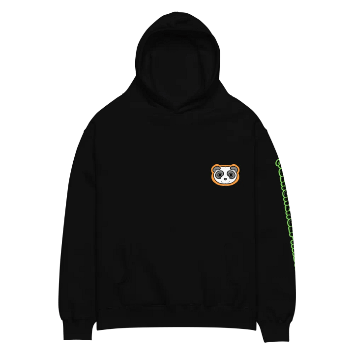 BLP Premium Unisex Hoodie 2024 product image (17)