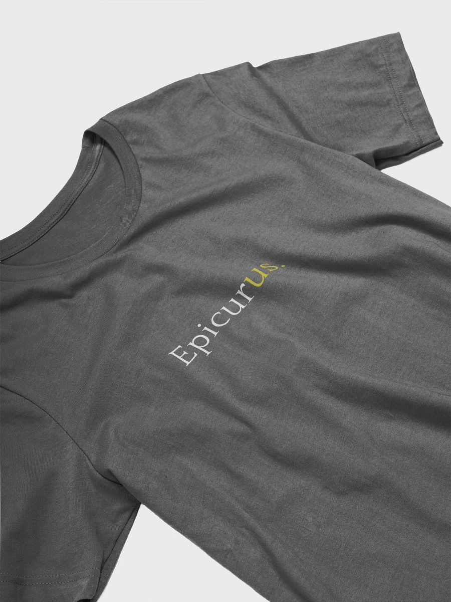 Epicurus Gets Us (Bella+Canvas Supersoft T-Shirt) product image (33)