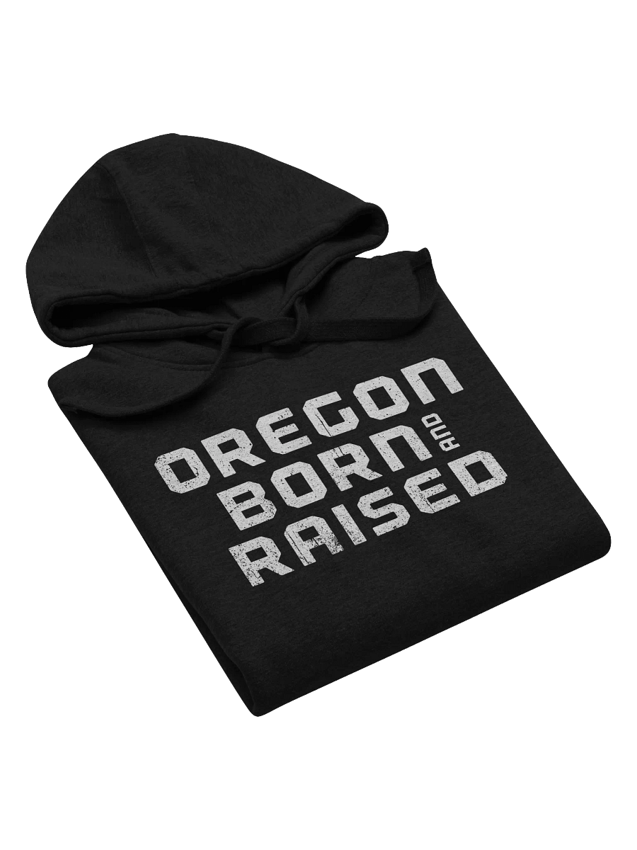 Born and Raised Hoodie product image (5)