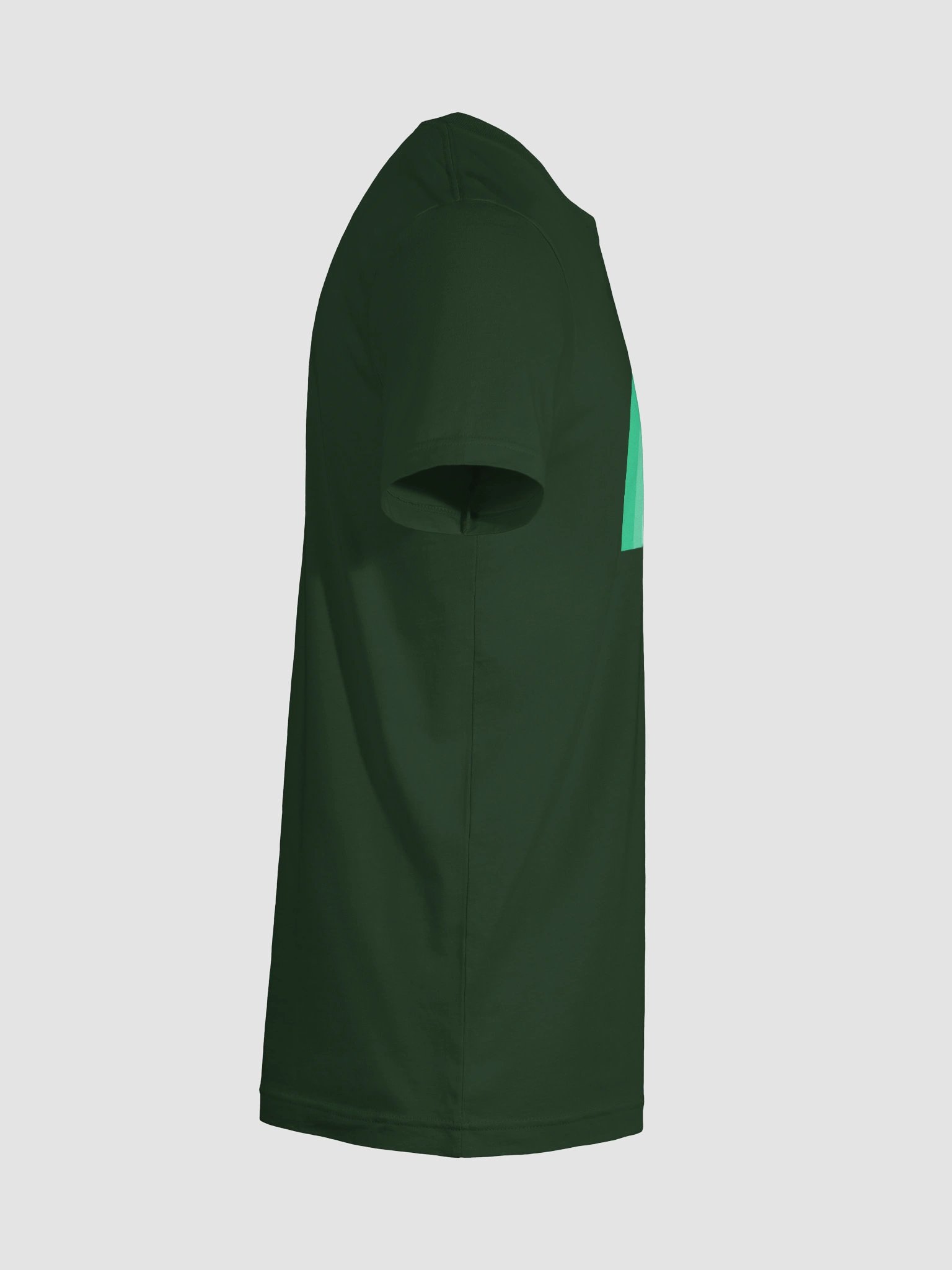 Jaguar E-Type Monochrome Rainbow (Green) product image (24)
