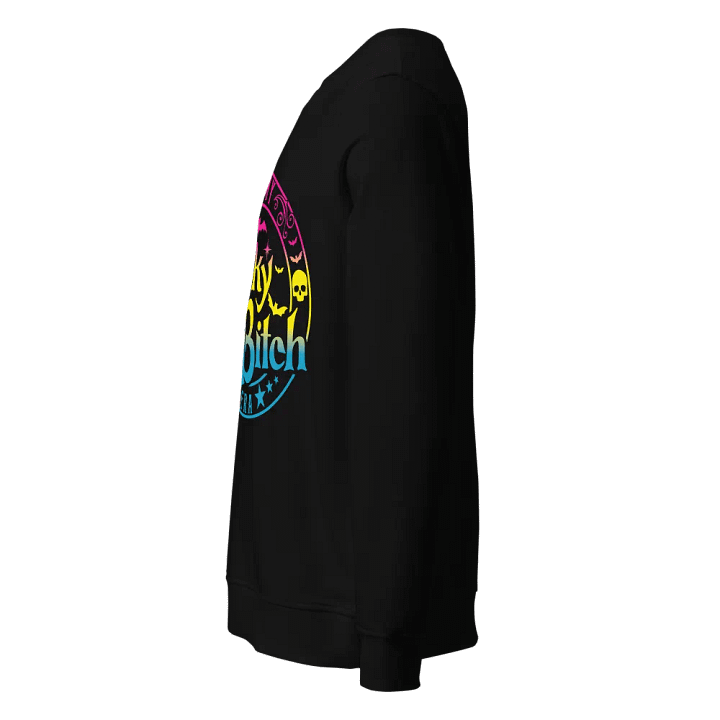 Spooky Bitch Era Pan Flag Organic Sweatshirt product image (2)