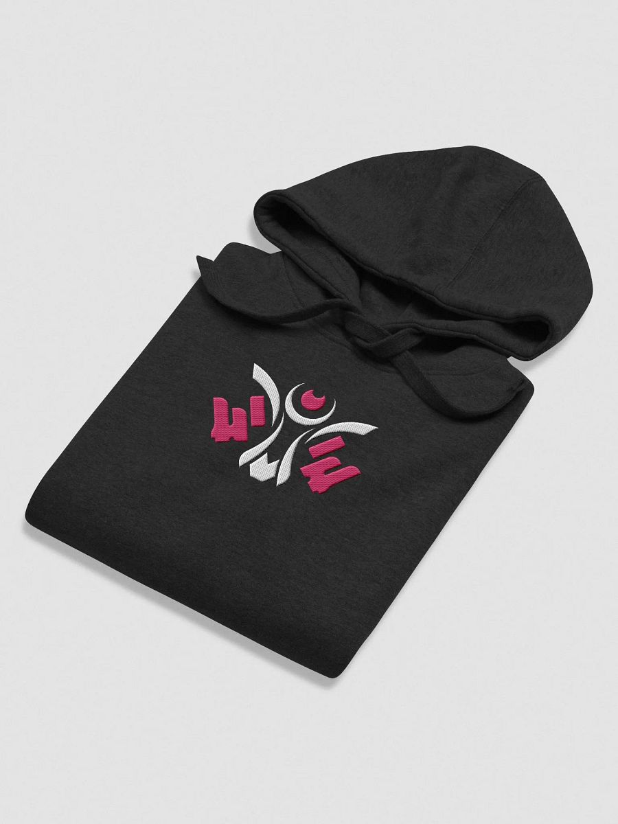 Visionary x Errah Embroidered Hoodie product image (4)