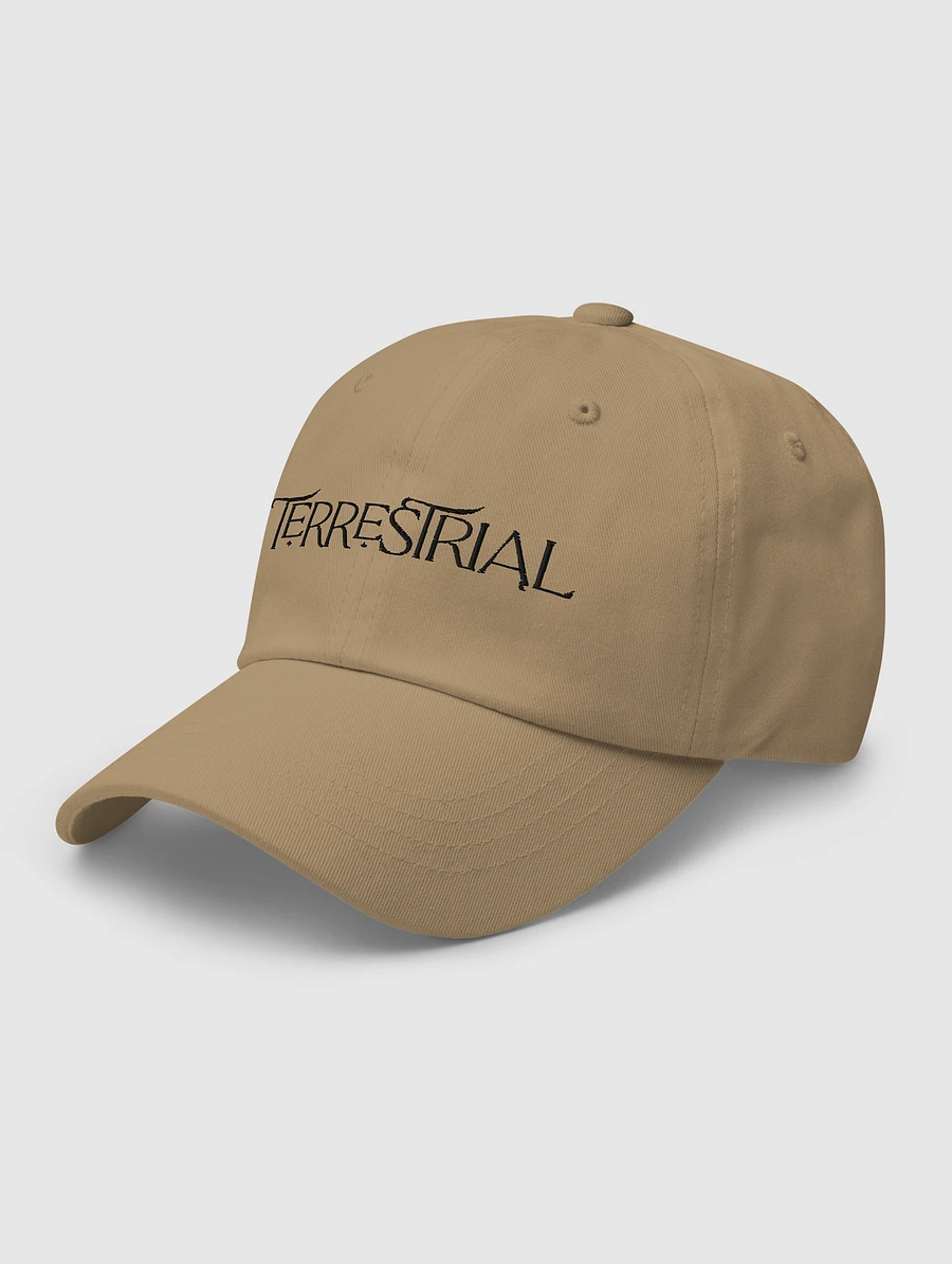 Terrestrial Logo Hat product image (3)