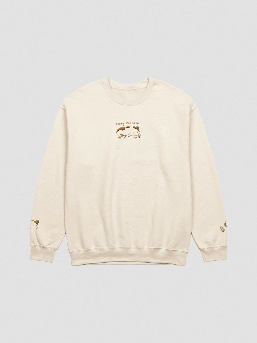 Tummy Ache Survivor Sweatshirt product image (1)
