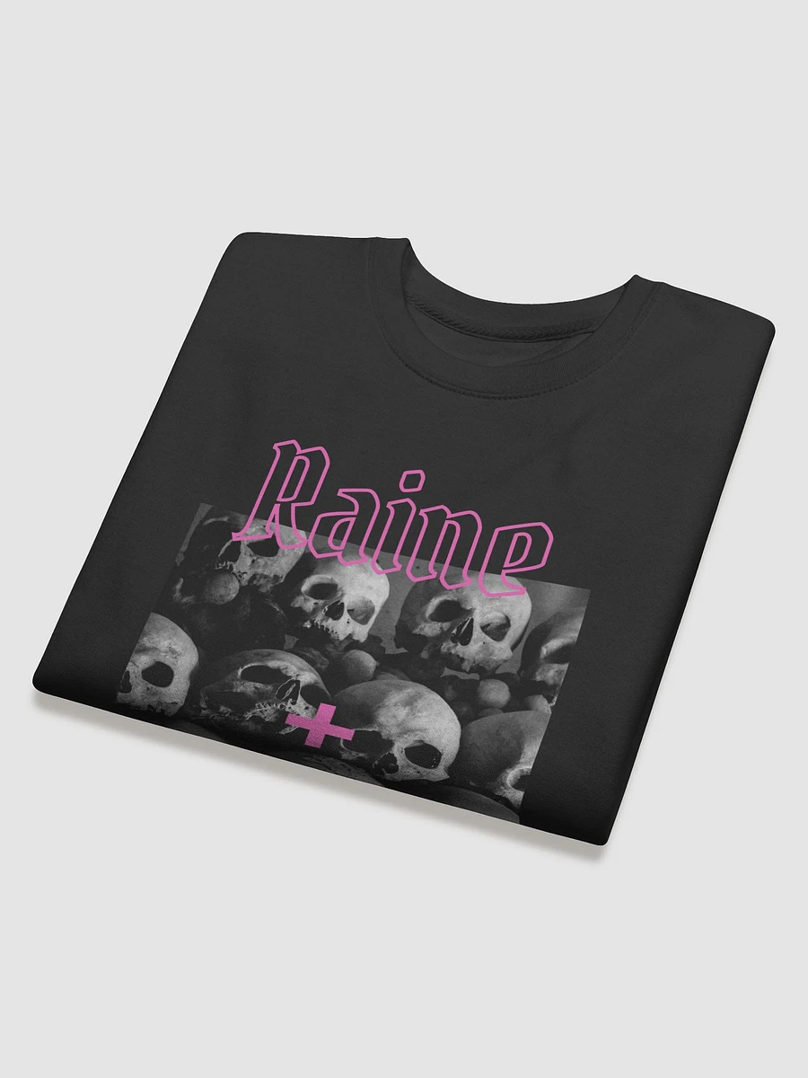 Raine + Chantal Skulls Sweatshirt product image (4)