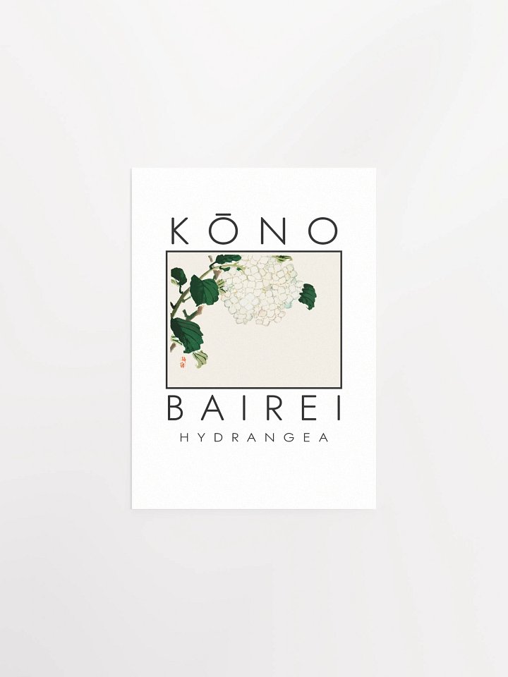 Kono Bairei Hydrangea Flower Poster product image (2)