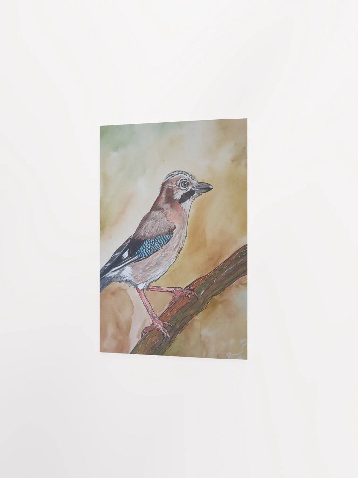 Corvis Series [01] Eurasian jay poster print product image (2)