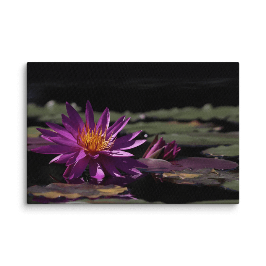 The Purple Waterlily product image (4)