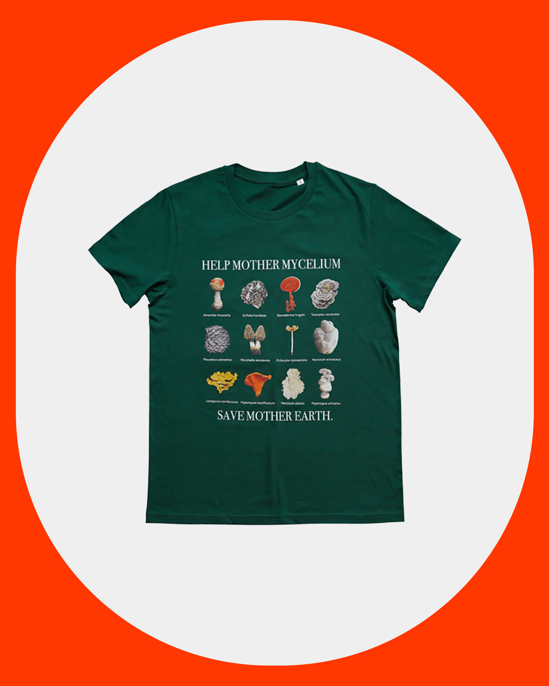 Mother Mycelium T-Shirt product image (1)