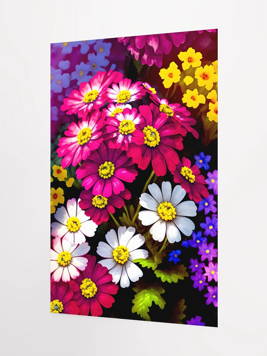 Vibrant Cineraria Floral Array - Lush Blossoms Wall Art Print Matte Poster product image (5)