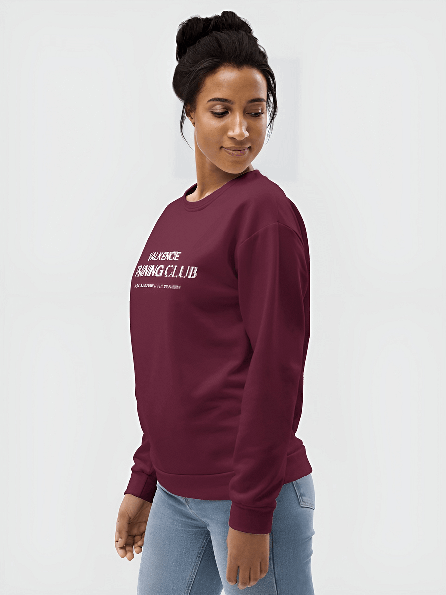 Training Club Sweatshirt - Plum product image (1)