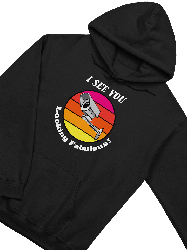 Watchful Eye Security Camera Hoodie product image (11)