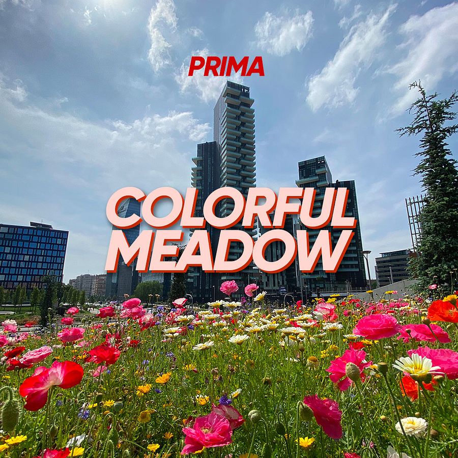 EfremsTube Summer Edition Preset Pack 2020 product image (6)