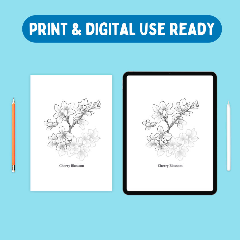 Sketch & Trace Bundle product image (4)