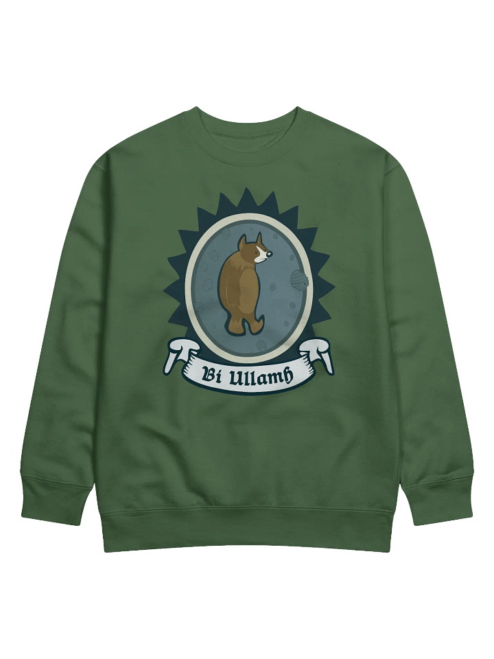 Béar Bí Ullamh Geansaí Cotton Heritage Premium (Front Patch) product image (1)