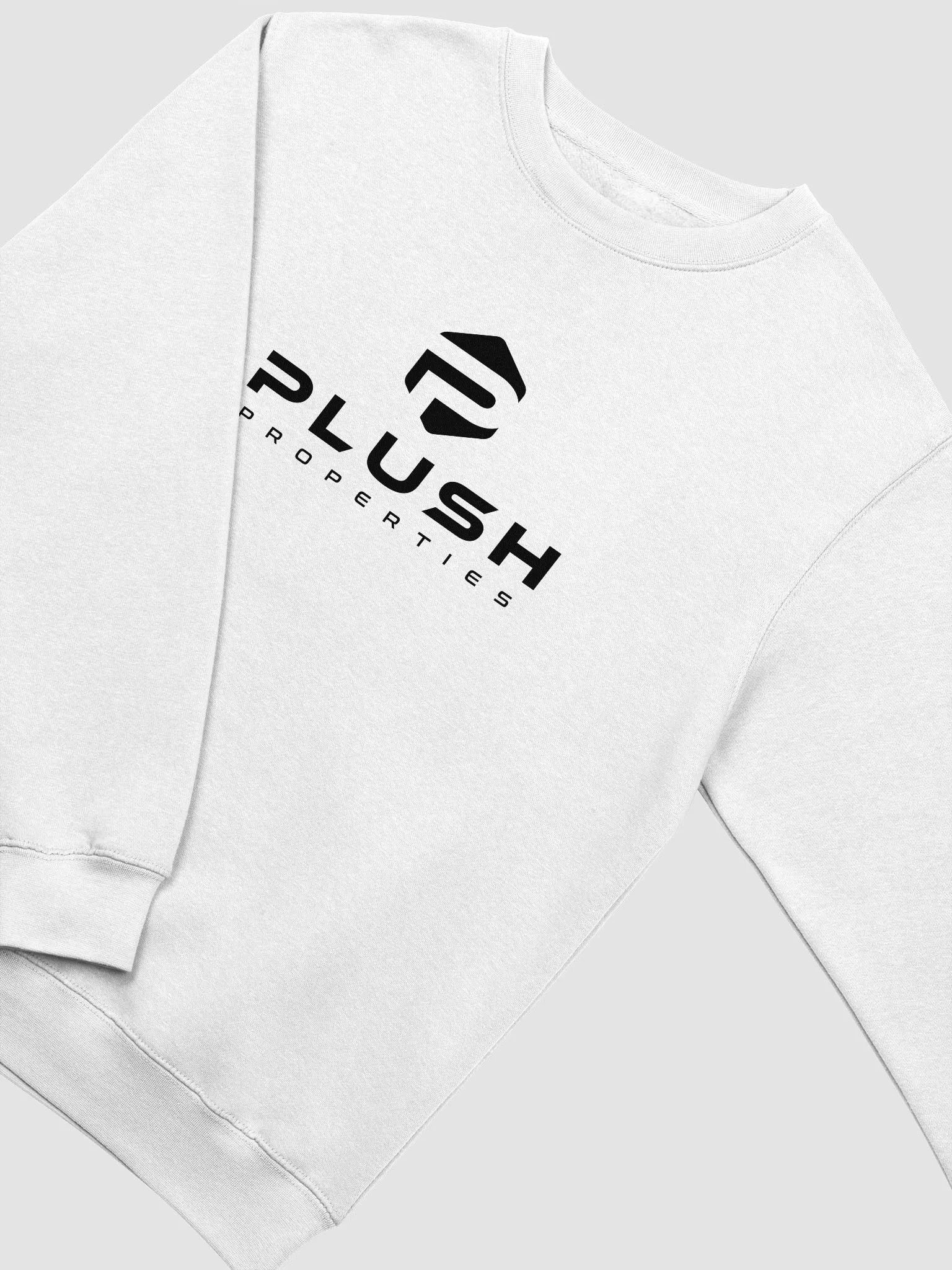 Plush Premium Crewneck Sweatshirt - White/Red/Oatmeal product image (2)