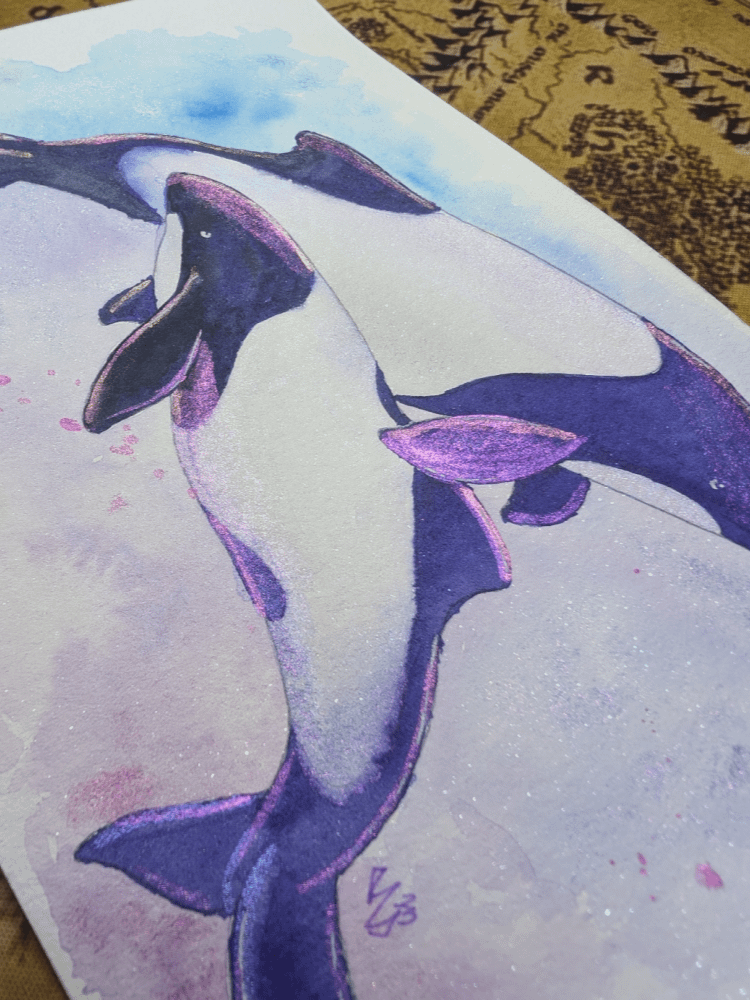 Commerson's Dolphins product image (2)