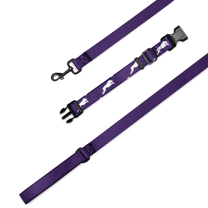 Purple Haze Leash & Collar product image (1)