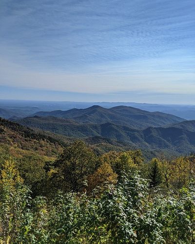 Did you know that the Smokey Mountains, spanning across Tennessee and North Carolina, are home to one of the most biodiverse ...