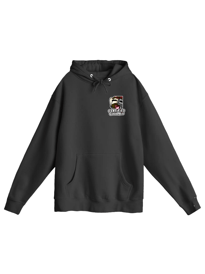 Certified Cool Kid Hoodie product image (2)