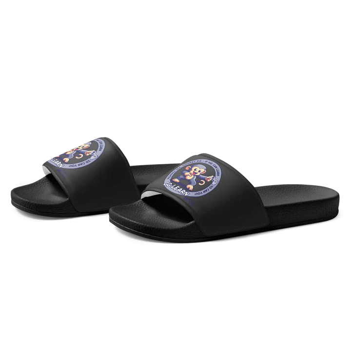 gglearn slides product image (1)
